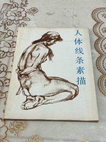 人体线条素描