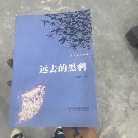 远去的黑鸦 : 苏冠华小说集