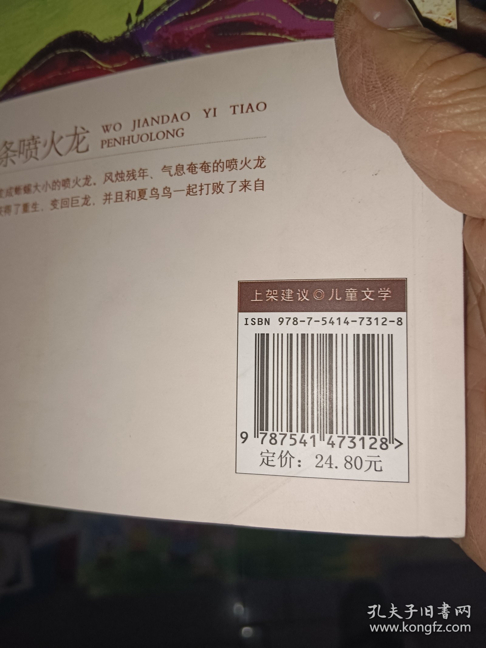 盛世中国原创儿童文学大系：我捡到一条喷火龙