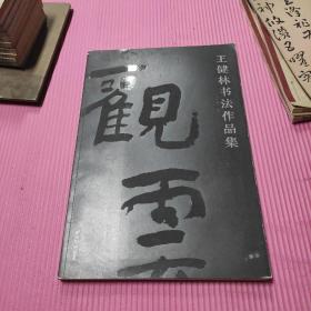 王健林书法作品集