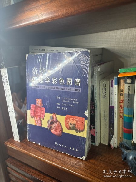 奈特病理学彩色图谱