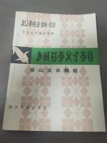 彝族书籍《凉山玉米栽培》彝汉对照 农业生产通俗读物 彝文书