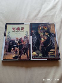 《白痴》《死魂灵》两本0.1元