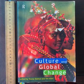 Culture and global change history western ideas theory theories cultural studies 英文原版