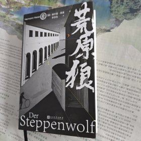 荒原狼，一版一印。