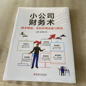 小公司财务术   小公司财税一本通，一看就懂；降本增效，掌控好现金流与税金！】未开封