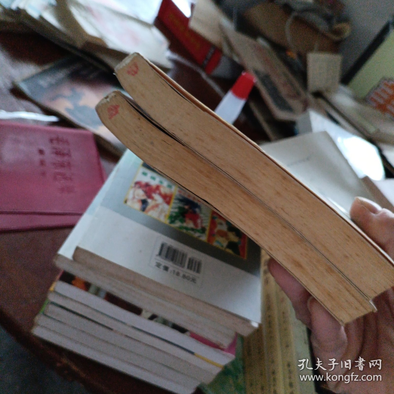 尼罗河的女儿（上下）