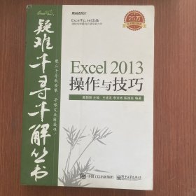 疑难千寻千解丛书 Excel 2013操作与技巧