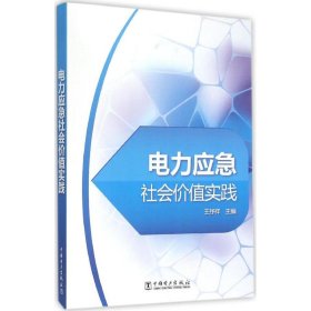 电力应急社会价值实践