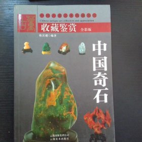中国艺术品收藏鉴赏全集 典藏版 奇石 上卷