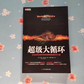 超级大循环： 正在改变全球市场和投资策略的新经济力量