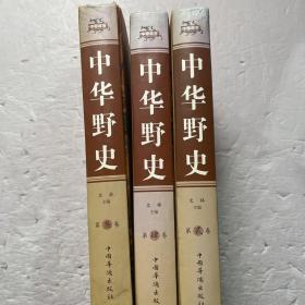 中华野史（2，3，4卷）