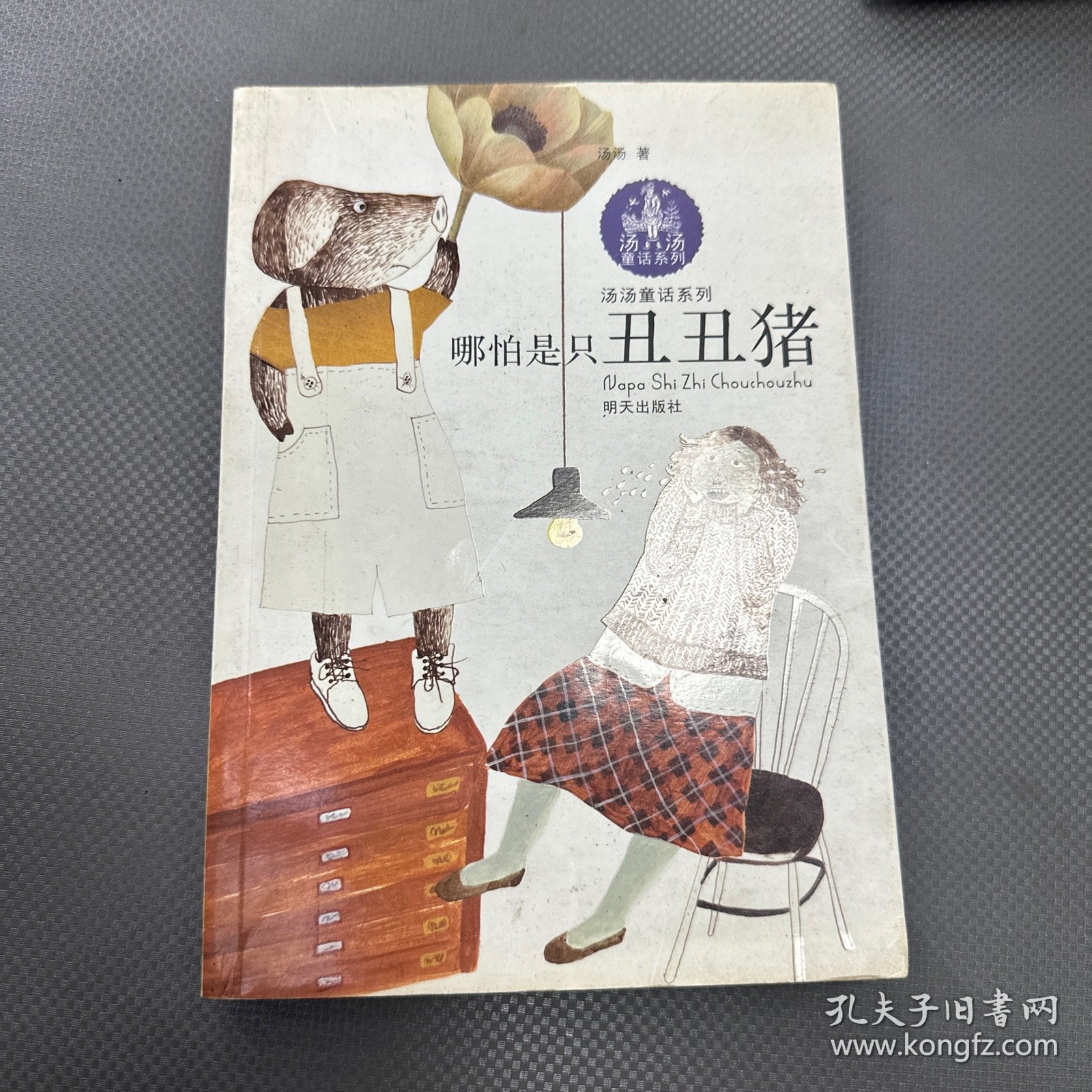 汤汤童话系列：哪怕是只丑丑猪