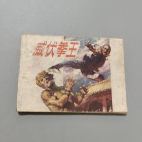 威伏拳王