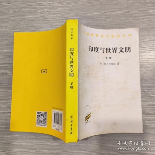 汉译名著本17：印度与世界文明（套装共2册）