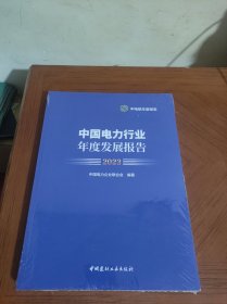 2023中国电力行业年度发展报告