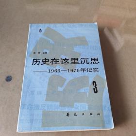 历史在这里沉思  3   1966—1976年记实