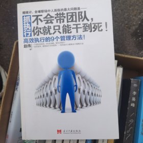 抓执行：不会带团队，你就只能干到死！