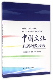 中国文化发展指数报告