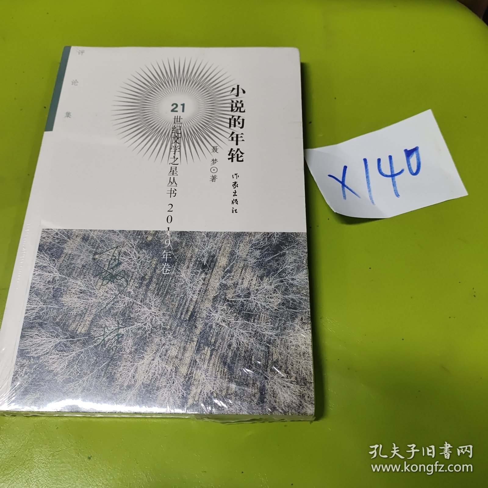 21世纪文学之星丛书2019年卷:小说的年轮