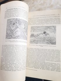 PVKOBOACTBO HO HATOAOECKO AHATOMMM 八（领导病理学的解剖学）俄文原版