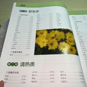 中华中草药图谱全典