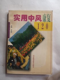 实用中风康复120