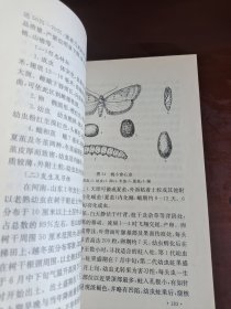 新编枣树栽培与病虫害防治
