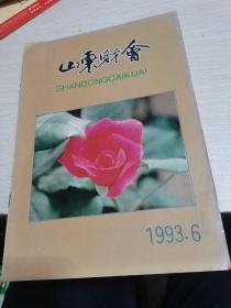 山东财会1993年第6期