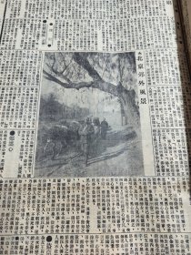 民国十六年三月泰晤士报1927年3月9日大前门香烟儿安氏秘制保肾丸惠罗公司天津北京郊外风景杨娼天津北京陈调元褚玉璞张宗昌城市安津浦铁路三多牌香烟红锡包香烟贵州味素木兰牌长途汽车