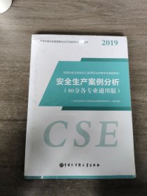 大百科5月新大纲版注册安全工程师教材2019年全国中级注安师全套正版考试用书安全工程师考试辅导教材安全生产案例分析