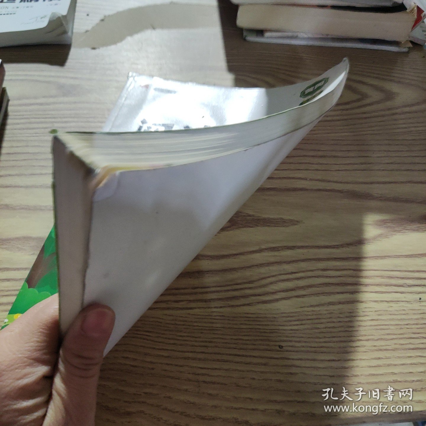 正版新书 阅读理解课外强化训练（真题100篇）五年级 普通图书/教材教辅/教辅/小学教辅/小学通用 9787571619640