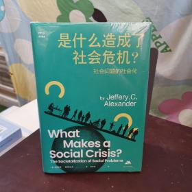 是什么造成了社会危机？——社会问题的社会化（思库文丛·汉译精品）