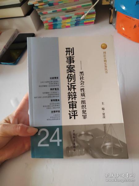 刑法分则实务丛书·刑事案例诉辩审评（24）：黑社会（性质）组织犯罪