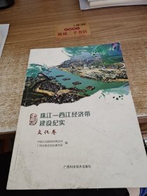 珠江西江经济带建设纪实（文化卷）/广西政协文史丛书