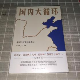 国内大循环(何毅亭、黄奇帆、孔丹、迟福林、姚洋、黄群慧等撰文)