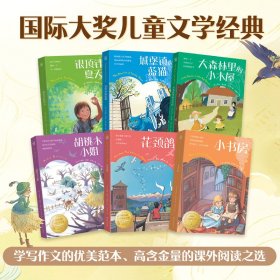 国际儿童文学经典·国际大奖系列（套装6册）