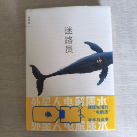 迷路员（青年小说家沈大成继《小行星掉在下午》后最新作品）
