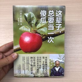 这辈子，总要当一次傻瓜