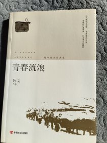 青春流浪（冰戈著）