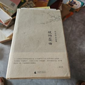 感时忧世