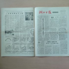 1964年11月6日 湖北日报农村版