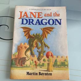 Jane and the dragon