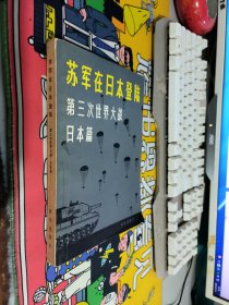 苏军在日本登陆第三次世界大战日本篇