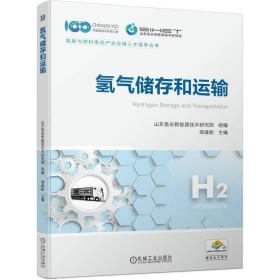 储存和运输 能源科学 山东氢谷新能源技术研究院,邹建新 编