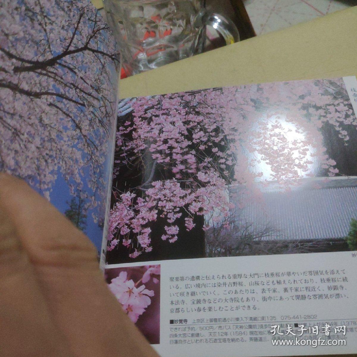 京都花名所