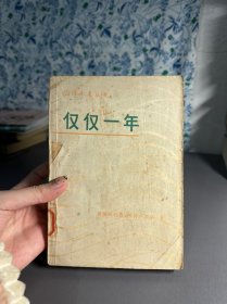 仅仅一年