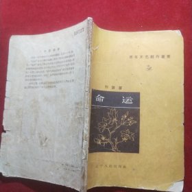 青年文艺创作丛书 命运