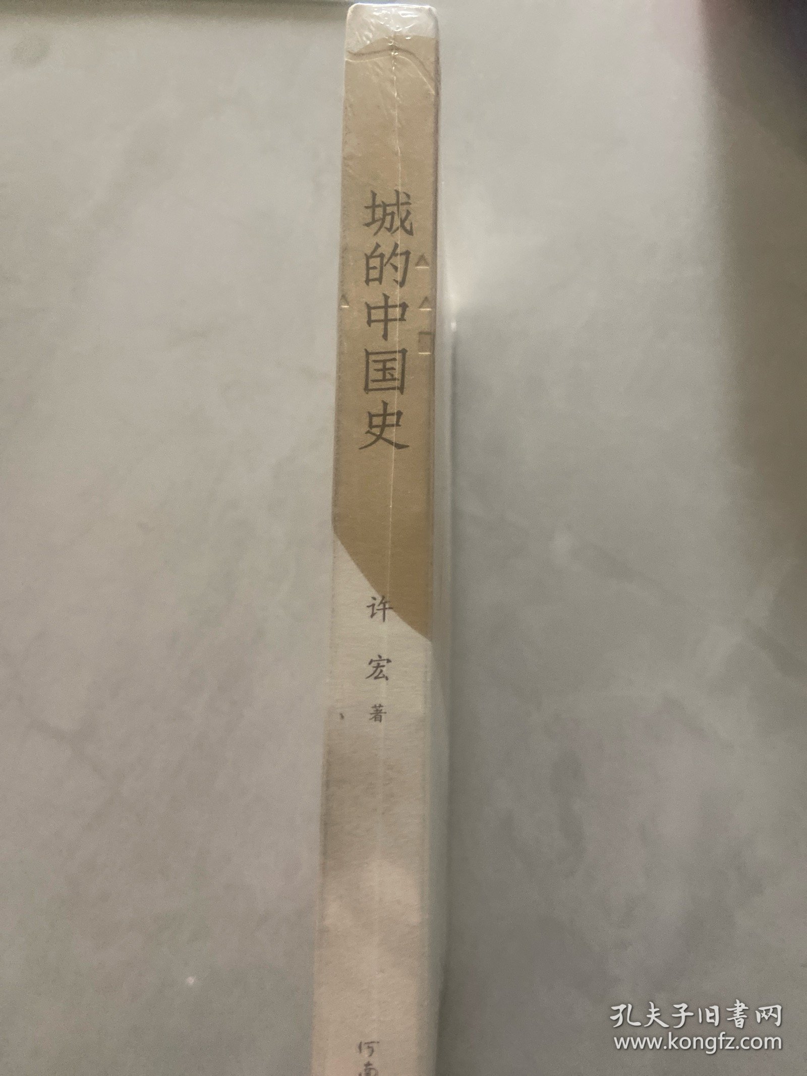 城的中国史（许宏新作品 考古大家写小书）