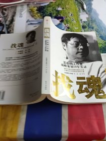 找魂：王志纲工作室战略策划10年实录